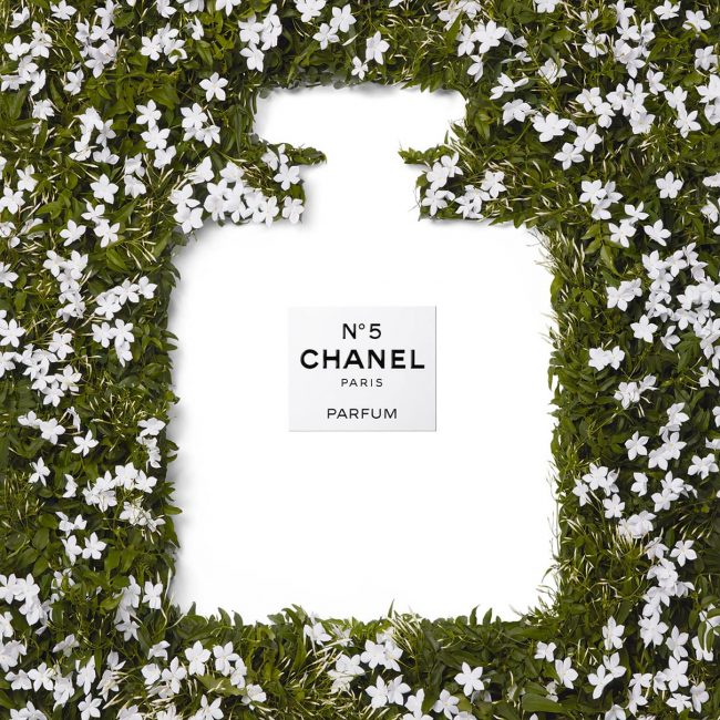 Chanel, campagne Dans les champs, N°5 fond blanc